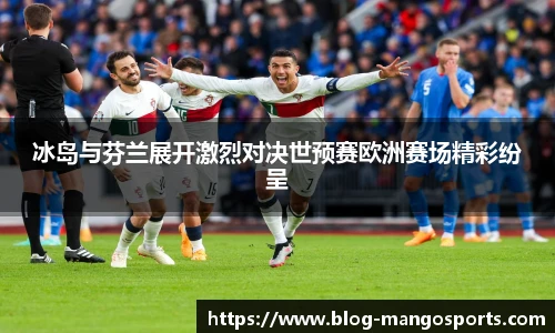 冰岛与芬兰展开激烈对决世预赛欧洲赛场精彩纷呈