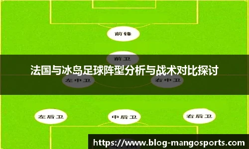 法国与冰岛足球阵型分析与战术对比探讨