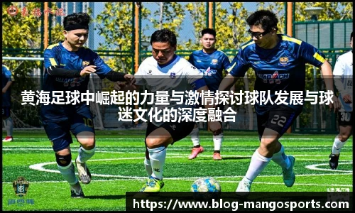 黄海足球中崛起的力量与激情探讨球队发展与球迷文化的深度融合