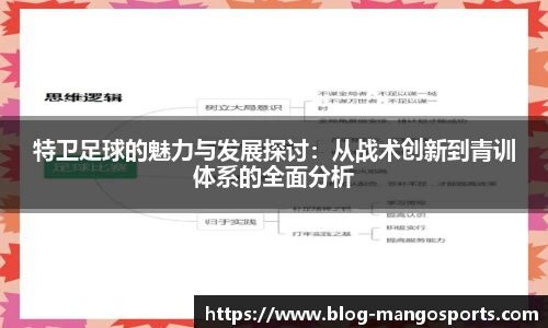 特卫足球的魅力与发展探讨：从战术创新到青训体系的全面分析